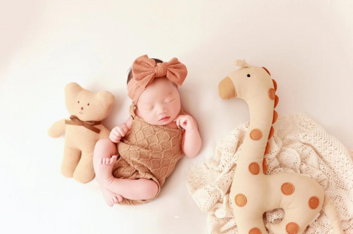 潍坊宝宝虾的做法 潍坊宝宝虾的做法